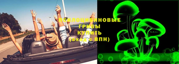 прущий лед Абаза