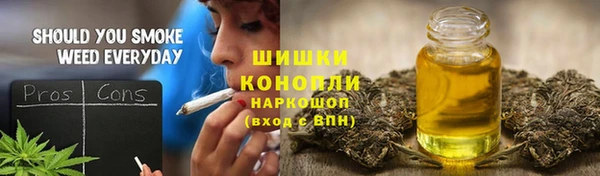 прущий лед Абаза